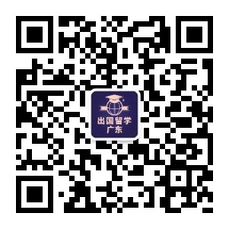 关注微信公众号